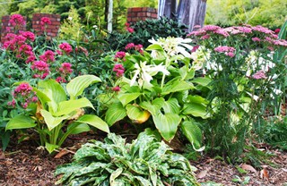 Garden Maintenance Melbourne, Garden maintenance services Melbourne