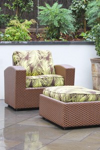 Cohesion Garden Design