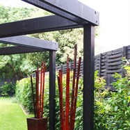  Stunning side entrance comprising coloured pergola with glazed terracotta pots containing bamboo for visual stimulation.  Hedging planted on the fence line to create privacy.