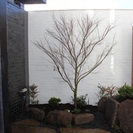  Driveway, period insert pattern, in asphalt and paving