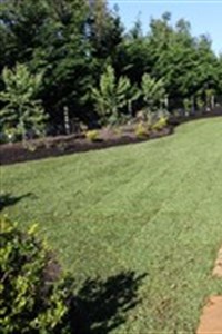 Country Garden design