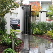  Inner suburban garden, random rectangular paving entrance with wrought iron fence and gates.  Piers capped with natural bluestone.  